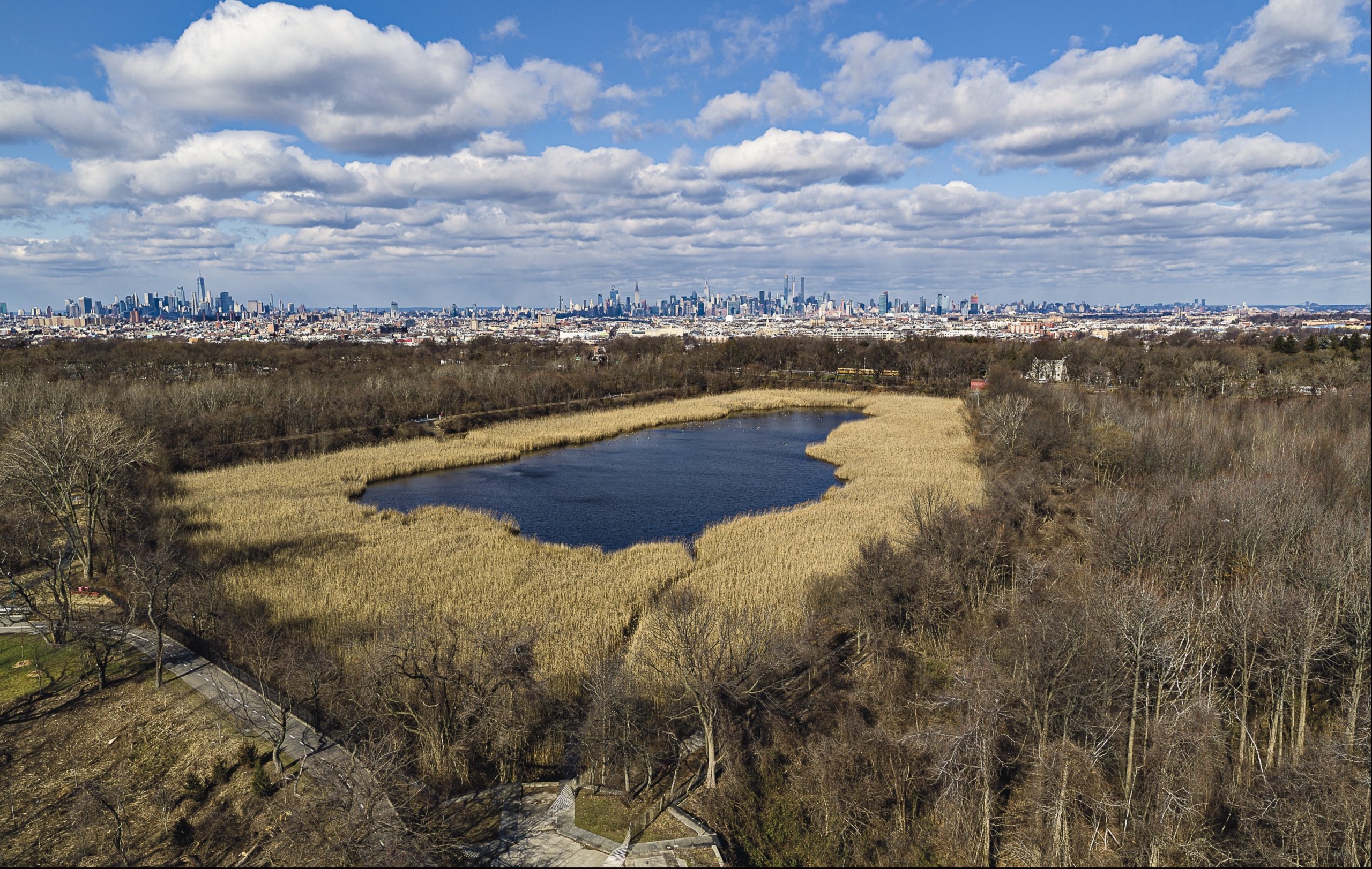 A water reservoir surrounded by a forest of bare trees. The water is a pristine, dark blue. In the background is the skyline of New York City against a cloudy blue sky.