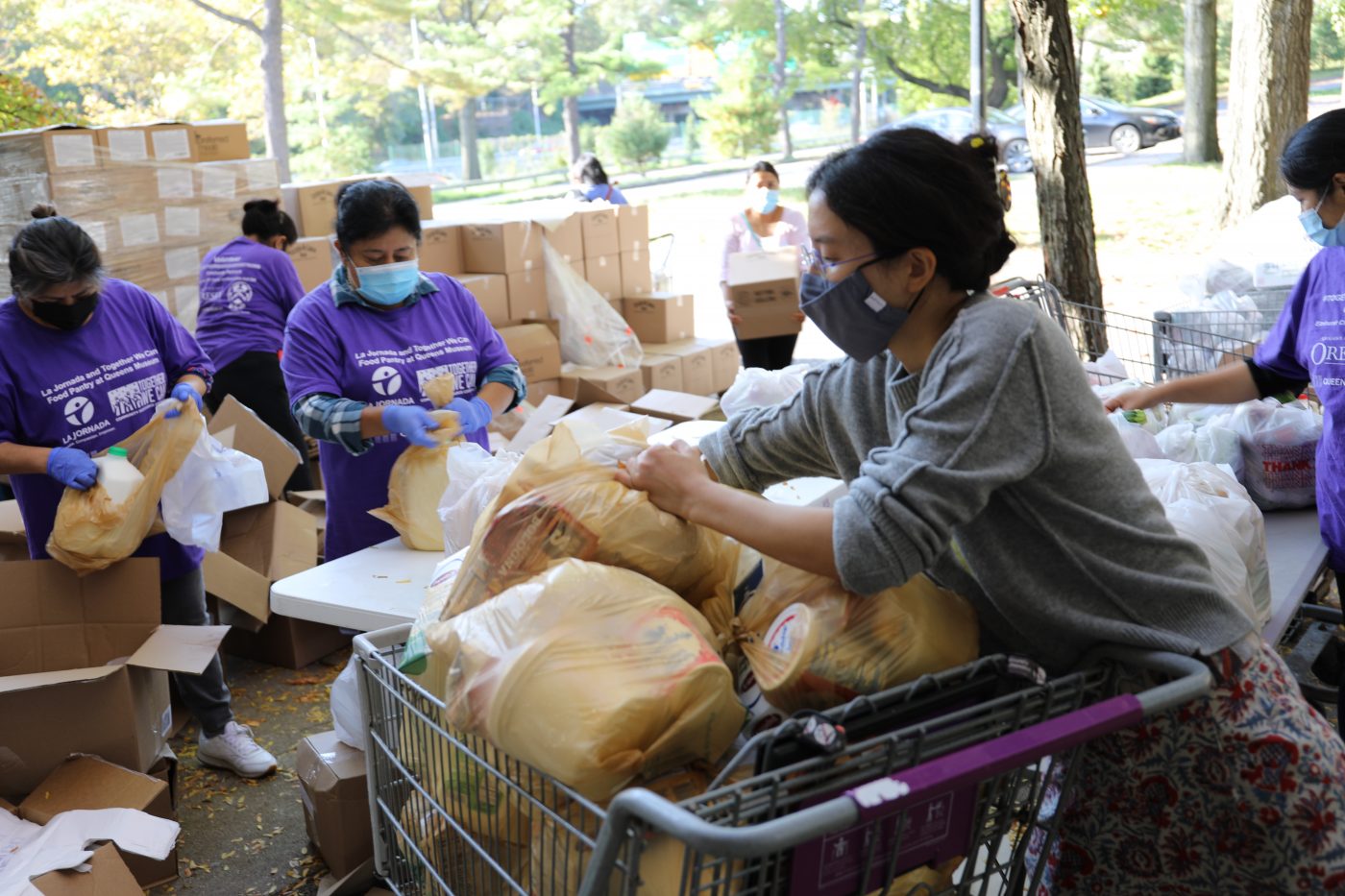 A group of women of color, work together to sort through a tower of food donation boxes. Most of them are wearing a purple La Jornada volunteer shirt. One of them is wearing a gray sweater and is reaching into a shopping cart, overflowing with light brown plastic grocery bags. They are all masked and working outdoors amongst trees.